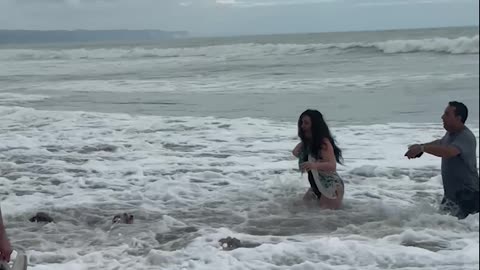 Wave Comes By Surprise and Washes Dogs to Shore