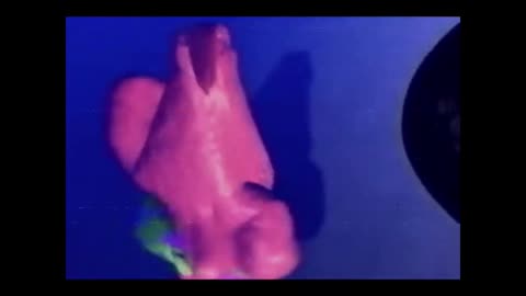 PATRICK GETS IN SHAPE (Polished)