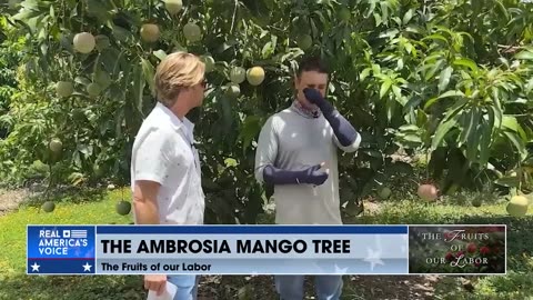 FARM TO TABLE: TROPICAL ACRES FARMS
