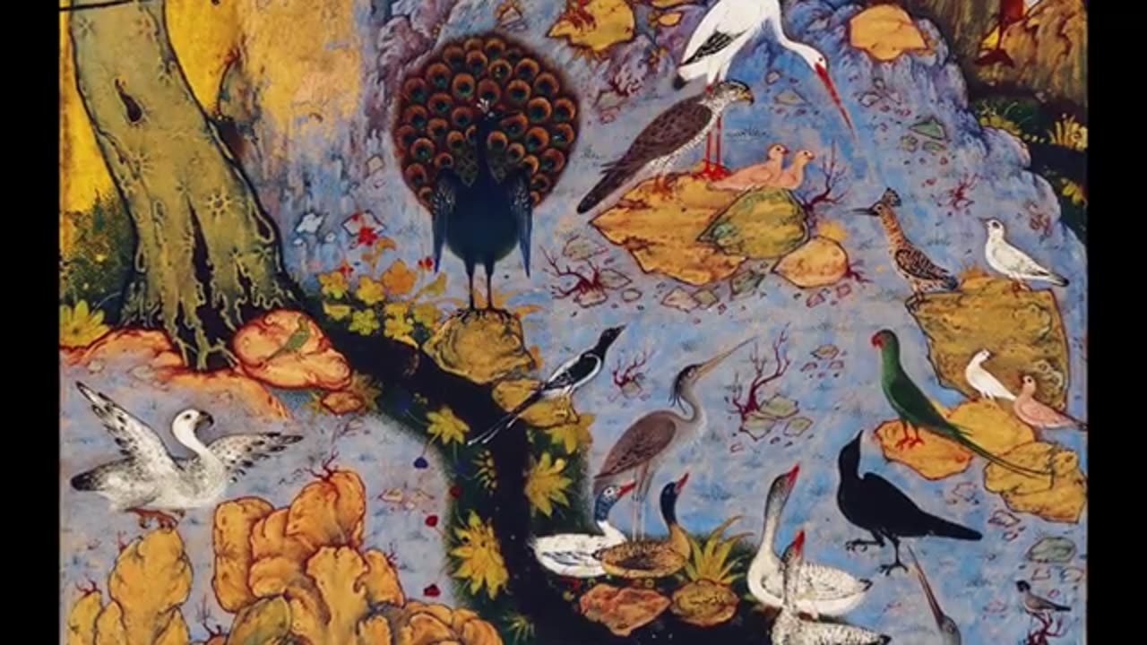 When Birds Speak, Mystics Listen: Decoding Nature's Hidden Language in Sufi Tradition