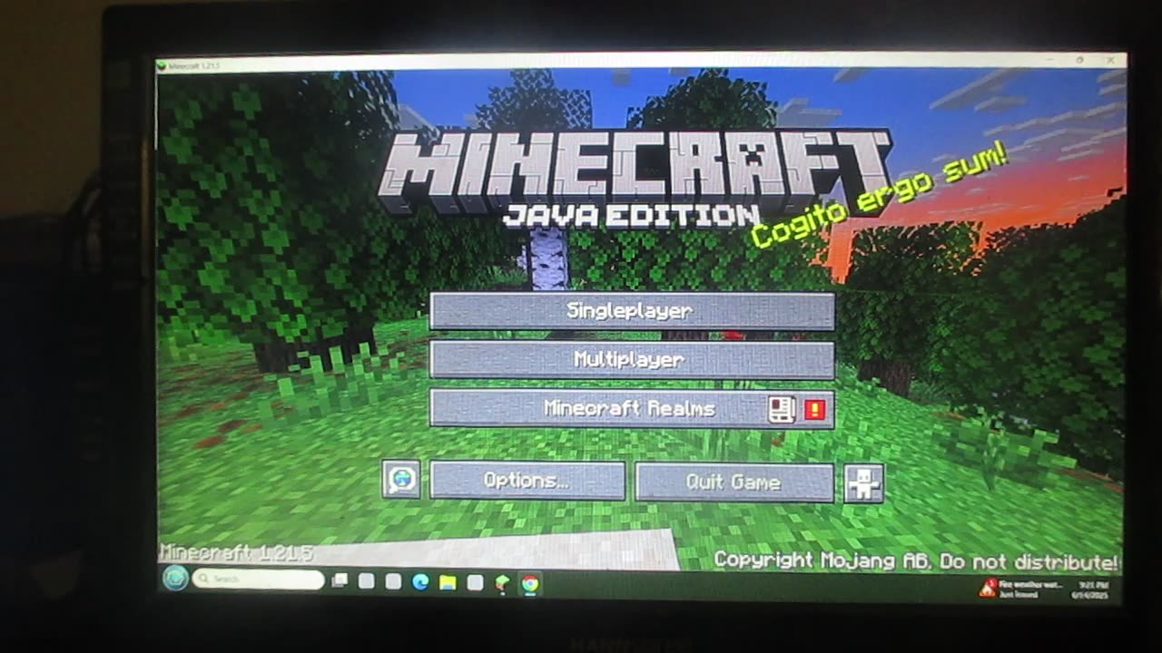 Minecraft Survive or Die: I think therefore I am. Saturday Night, June 14, 2025.