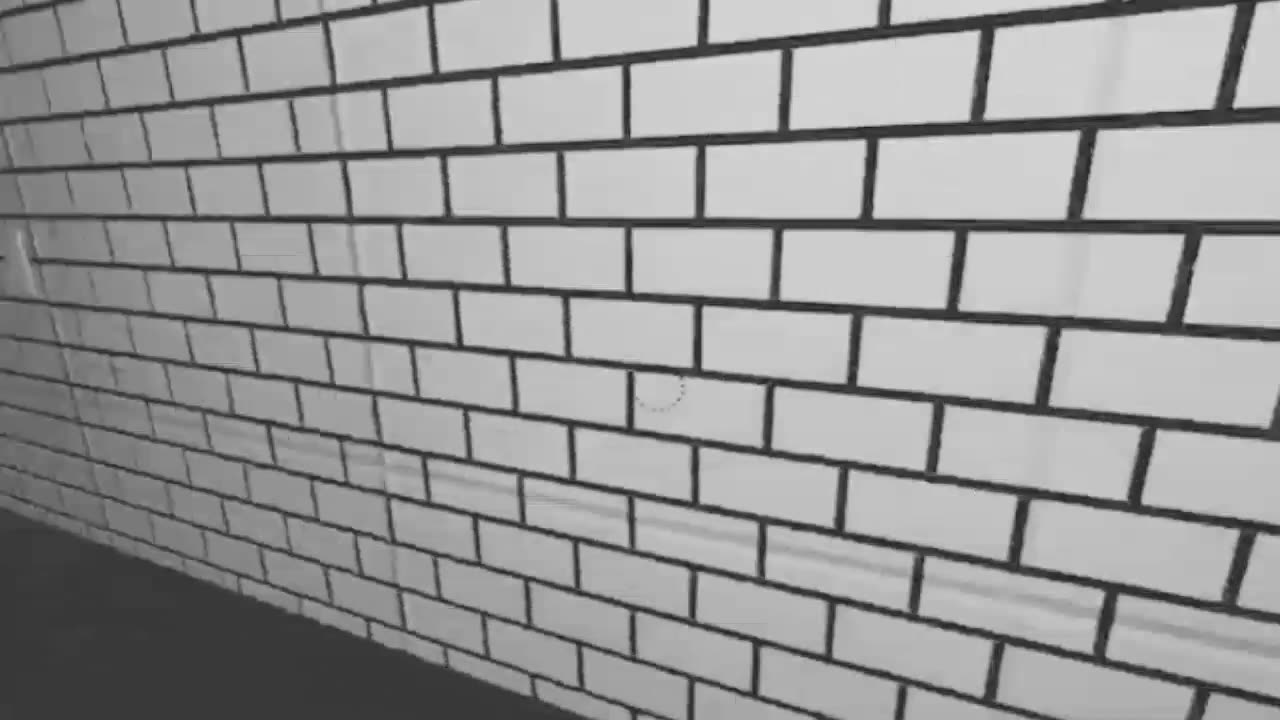 Blight of Ignorance Full Walkthrough No Commentary