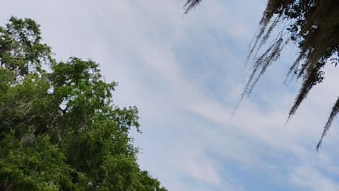 Marion county sheriff's department helicopter
