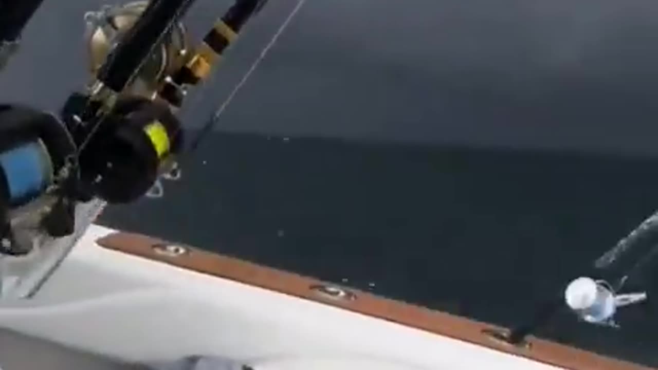 Thought They Were Going Too Fast... Then the Camera Turned and I Changed My Mind!