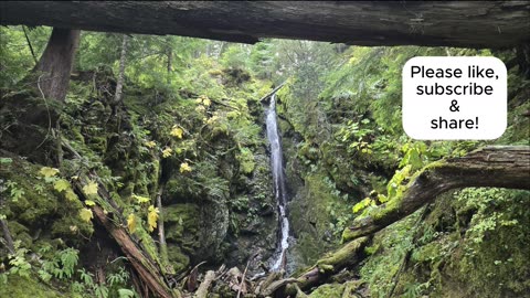 Fall Cora lake Hike with Harvey and Clyde! So many waterfalls!