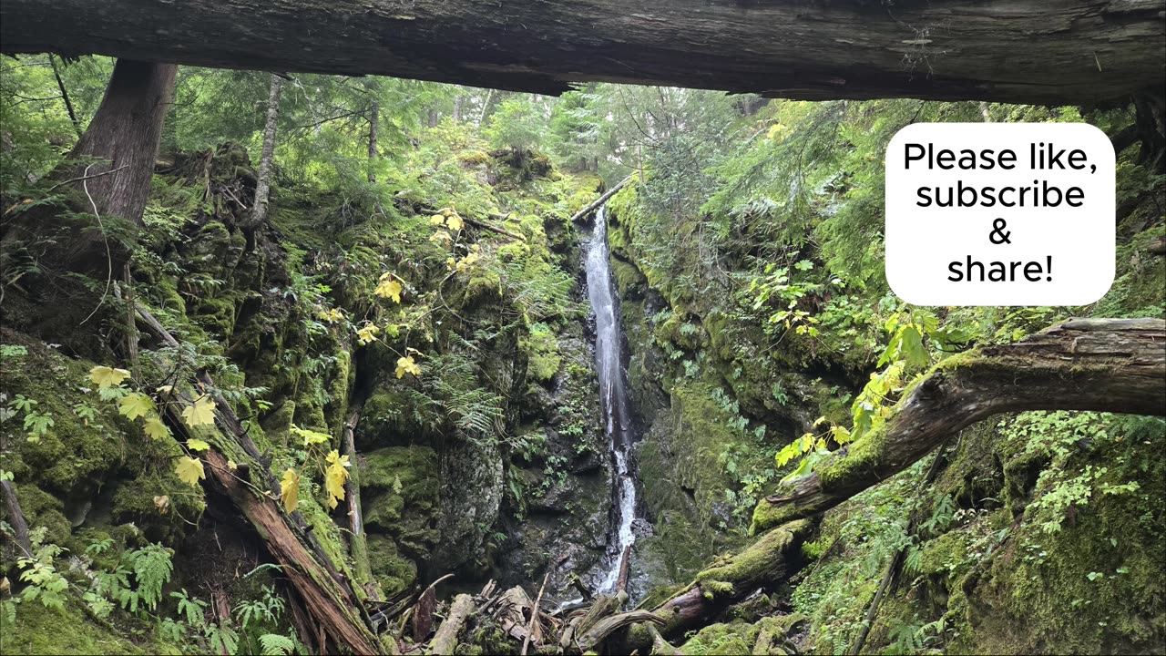 Fall Cora lake Hike with Harvey and Clyde! So many waterfalls!