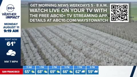 california wildfires latest trump d.c. crime announcement todday.s forecast