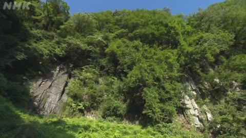 さわやか自然百景 香川 象頭山