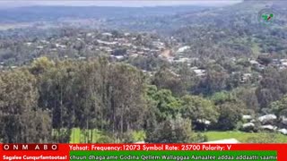 Oduu Waaree ONM-ABO Sadaasa 23-2025 itti dhiyaadhaa!