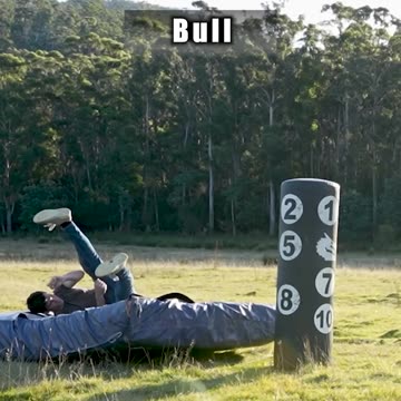 How Animals Fight. Part 2 (with emojis)