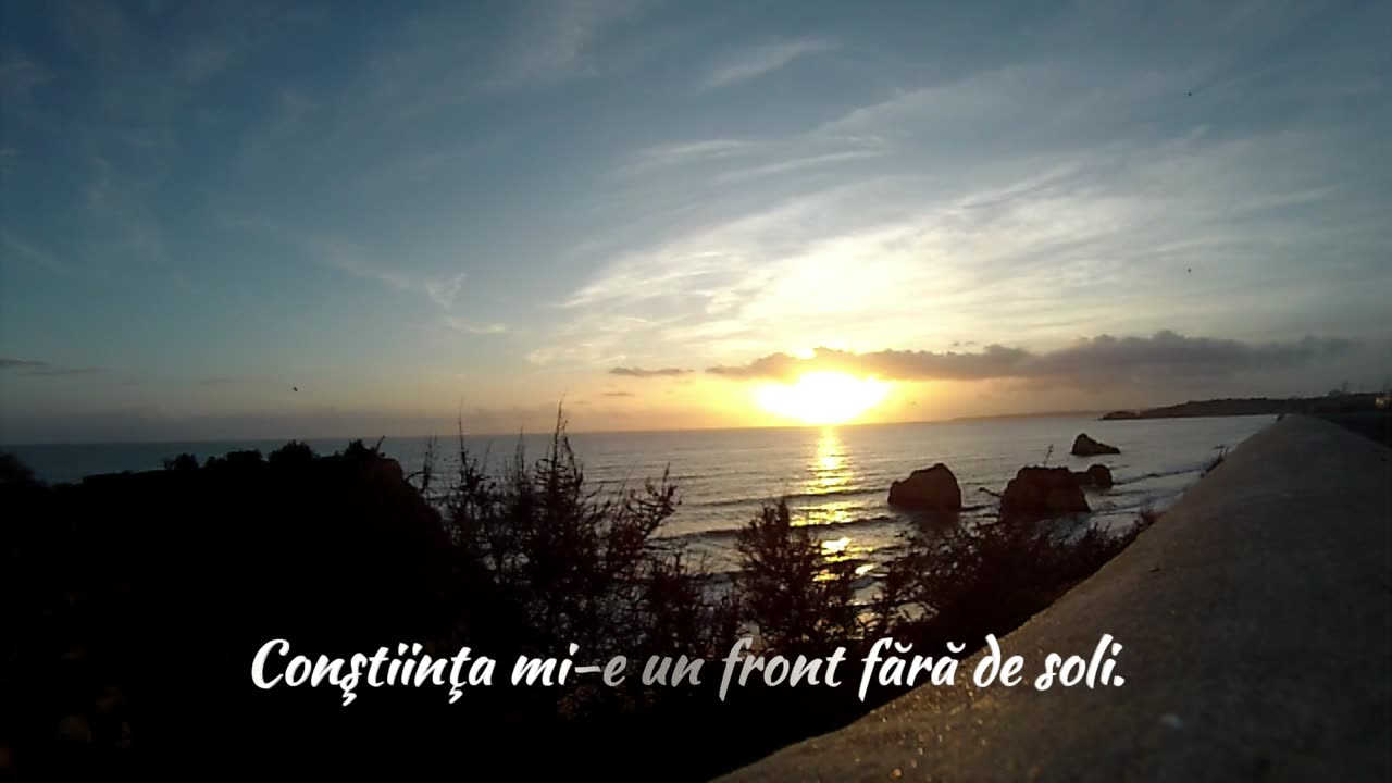 Monica Schuffert - Sunt Vinovat