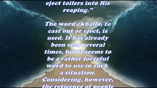 Matthew 9:38 - Daily Bible Verse Commentary