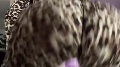 Big Booty Twerk 🍑