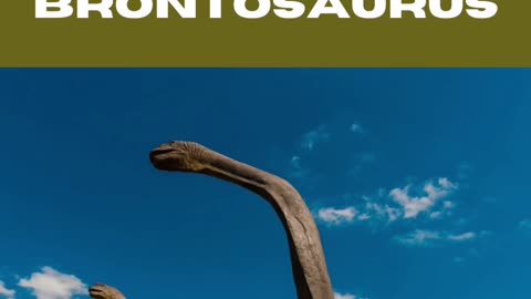 The Dinosaur Quiz