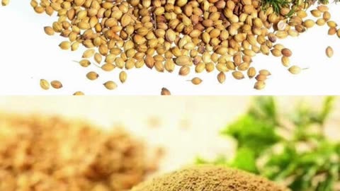 मेथी और धनिया पाउडर साथ खाने के तीन ज़बरदस्त फायदे#health #shorts #viral #trending #like #fact #reels