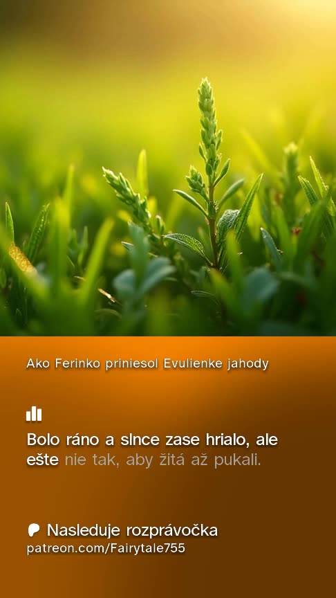 Poľná žienka Evulienka 2