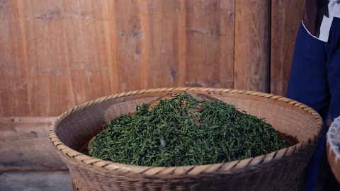 We Tried an Authentic Tea Picking Experience