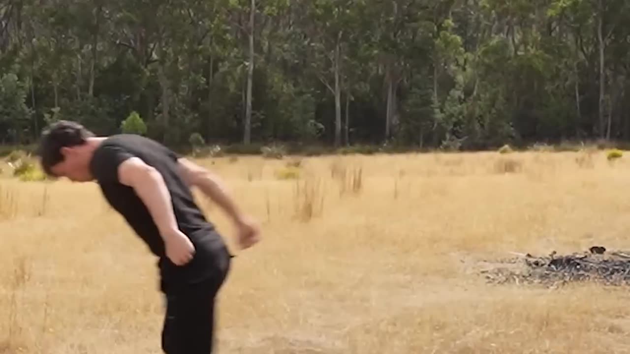 If animals did Parkour 😂