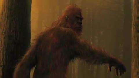 Woman Believes She Recorded Two Bigfoots Talking To Each Other ...