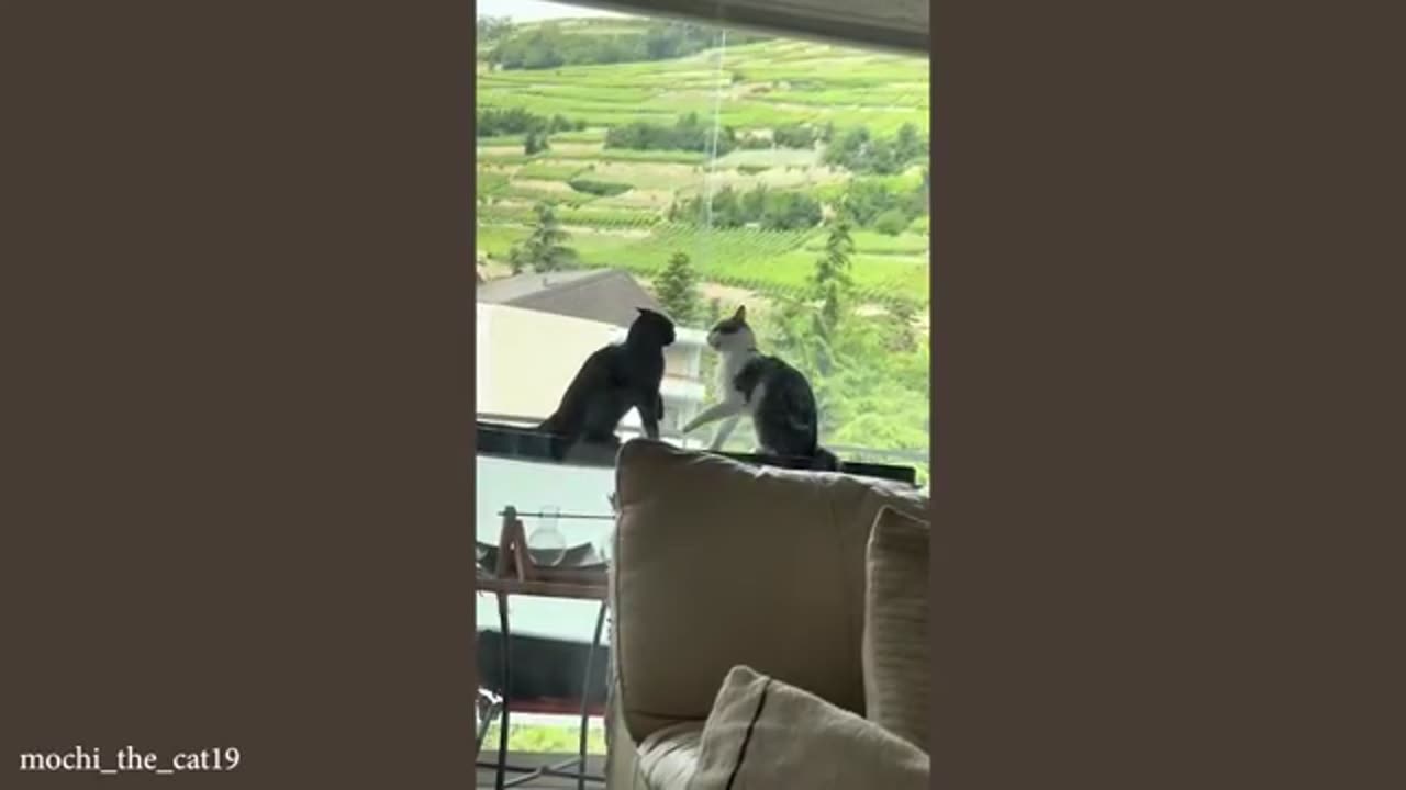 TRY NOT TO LAUGH 😆 Best Funny Videos Compilation 😂😁😆 Memes.