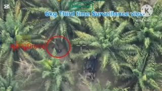 🐶💔 Myanmar War | Casualty of War: Dog Struck by Junta Drone in Tanintharyi | RCF