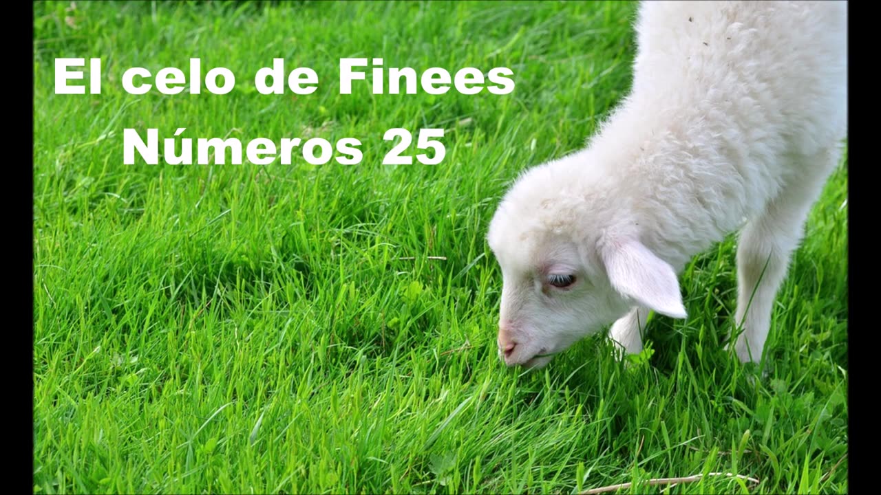 29.- El celo de Finees, Número 25. _ E29