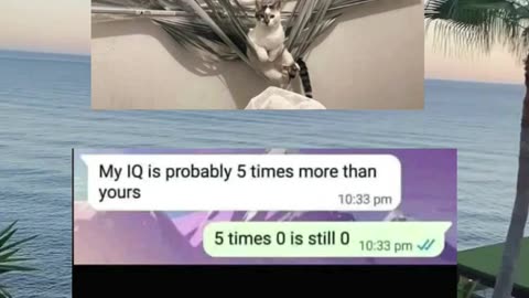 #funny #memes #fyp