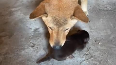 ?