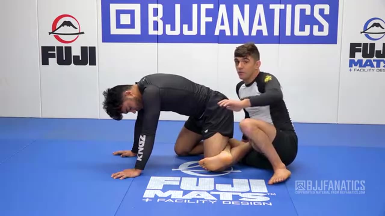 Slicin' Calves by Mikey Musumeci 1