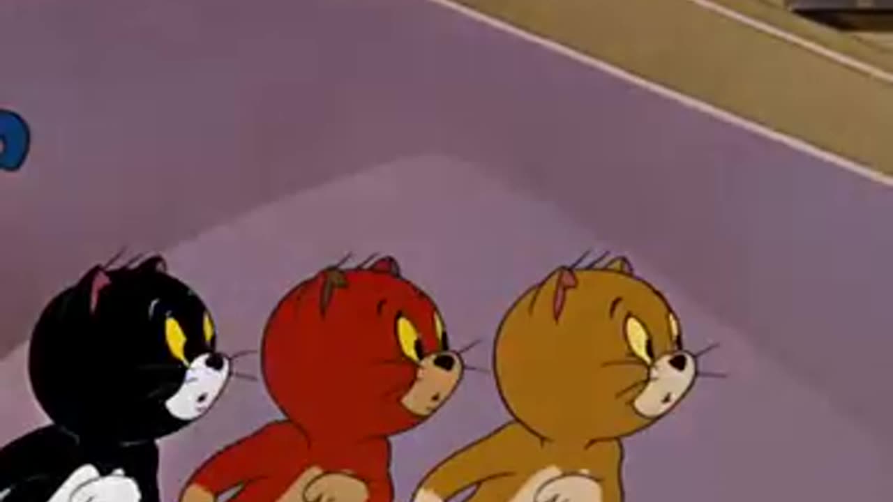 Tom and jarry funny vidieo