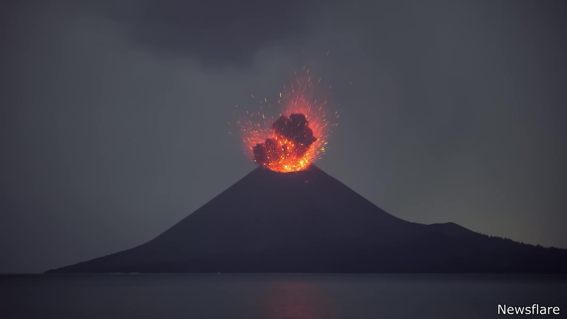 Craziest Nature Moments of the Decade 🌍😱