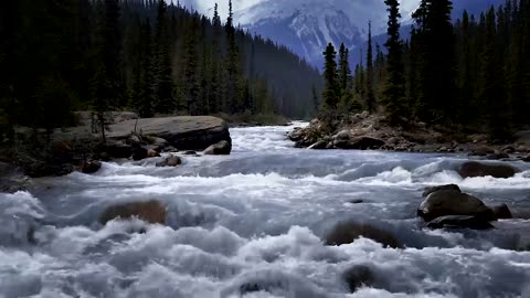 Nature Sounds - Mountain River | Relaxing Atmosphere for Sleep and Relaxation