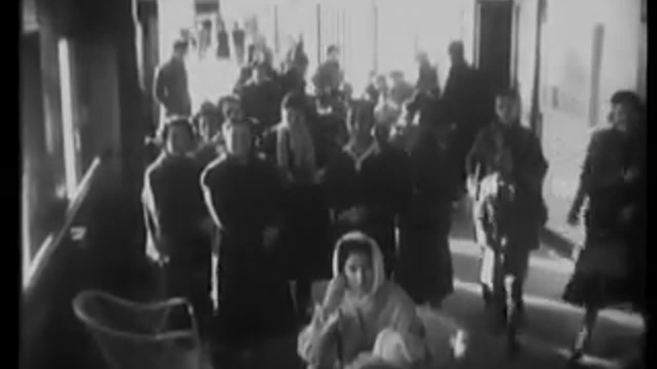 News Footage of the Arab-Israeli Conflict of 1956