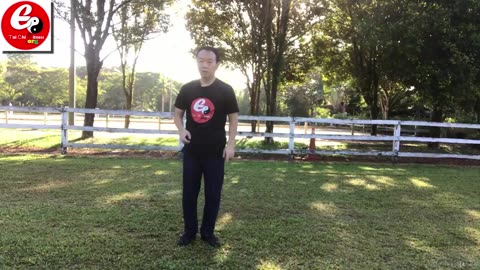 Aerobic Tai Chi Workout-038-Forward Elbow Strike