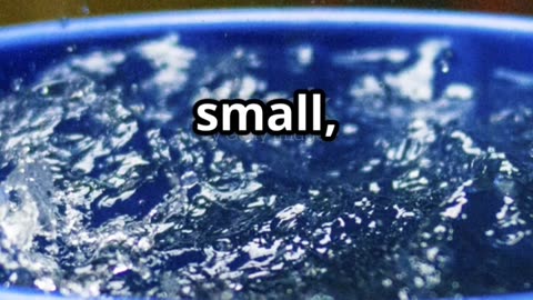 1% better every day beats perfection | Book Notions