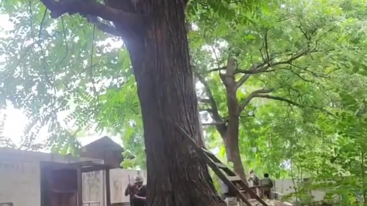💥🏹 Myanmar War | Black Leopard Army Strikes Pyusawhti | RCF