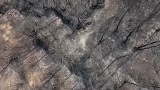 A farmer's battle with heatwave-fueled wildfires hitting Albania