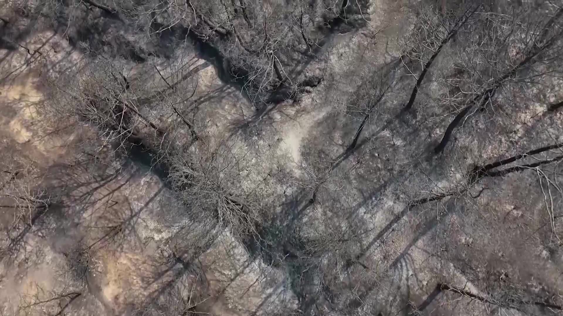 A farmers battle with heatwave-fueled wildfires hitting Albania