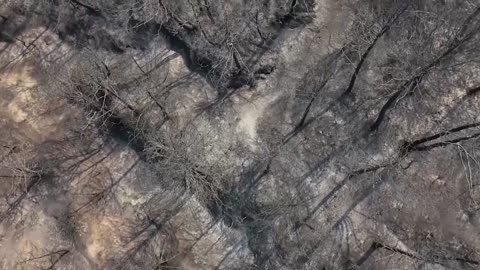 A farmer's battle with heatwave-fueled wildfires hitting Albania