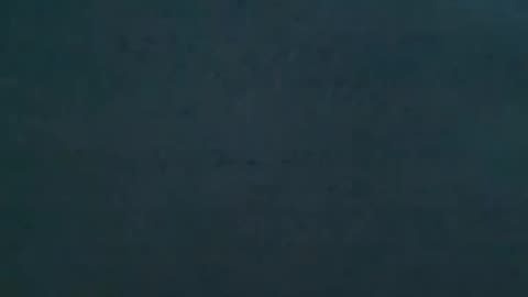 RELAXING MINUET OF LIGHTNING