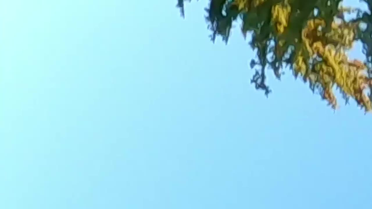 That's BASHIN', Right? Traxxas Stampede 4x4