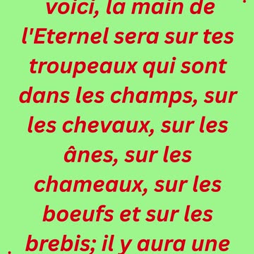 "La peste sur les troupeaux" exode 9:3,4 #shorts #youtube #ytshorts #jesus #views #youtubeshorts #yt