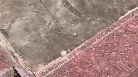 VÍDEO ERNESTO GUEVARA