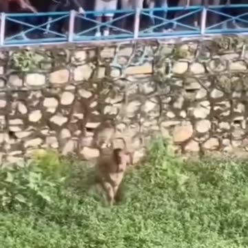 Nepalski minister finansów nie wyszedł z tego najlepiej. Otóż wściekły tłum obnażył go do naga i kamieniami zmusił do wejścia do rzeki.