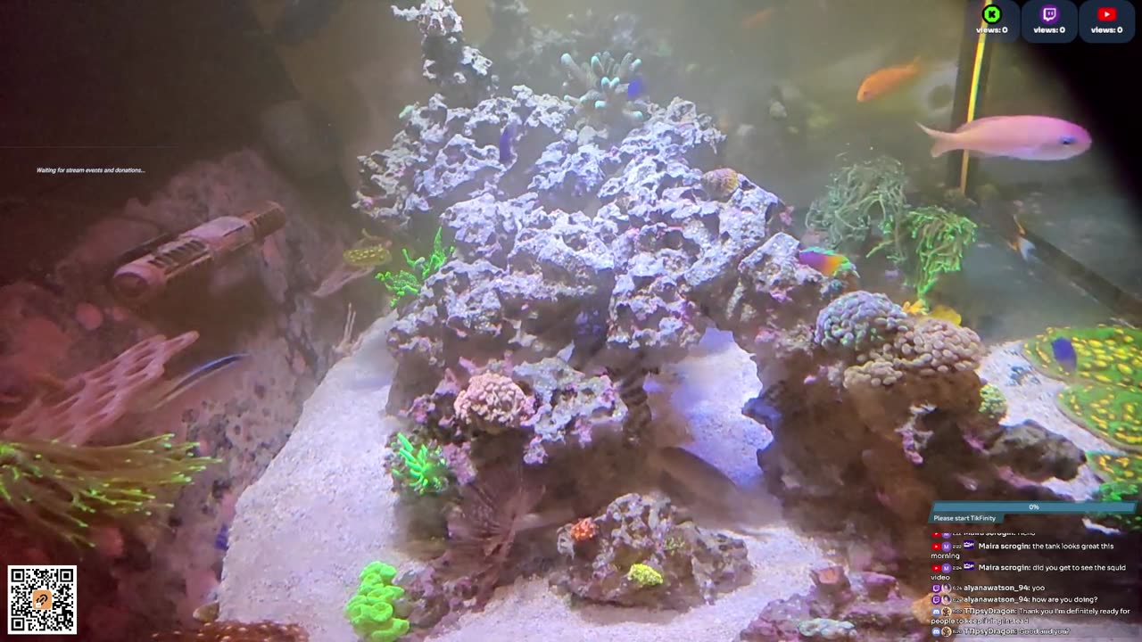 24/7 Real Live Reef Stream