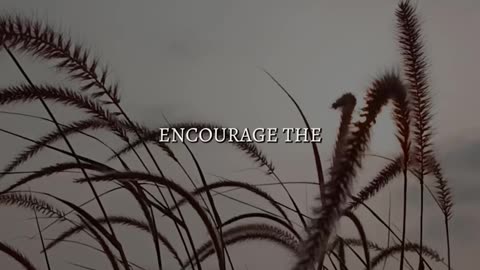 🙏✨ Thursday's Prayer 0911 | Seek Guidance & Trust in God's Plan | InGodWeTrustDaily