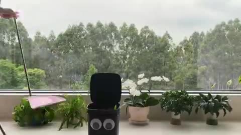 筹备外出旅游的超强执行力