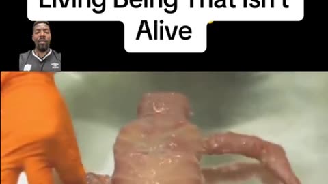 Scientists Have Built the First Modular Body—a Living Being That Isn't Alive