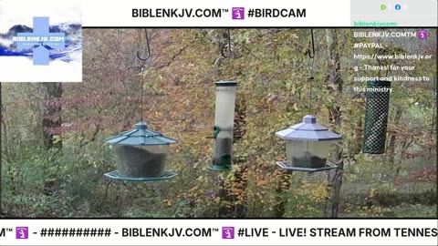 BIBLENKJV.COM™ 🛐 11//03/2025 #LIVE #BIRDCAM #WEATHER