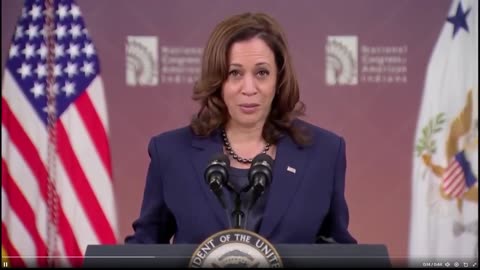 Imagine if she was president! Are all Democrats America and White people haters?